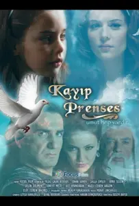 Потерянная принцесса (сериал 2010)